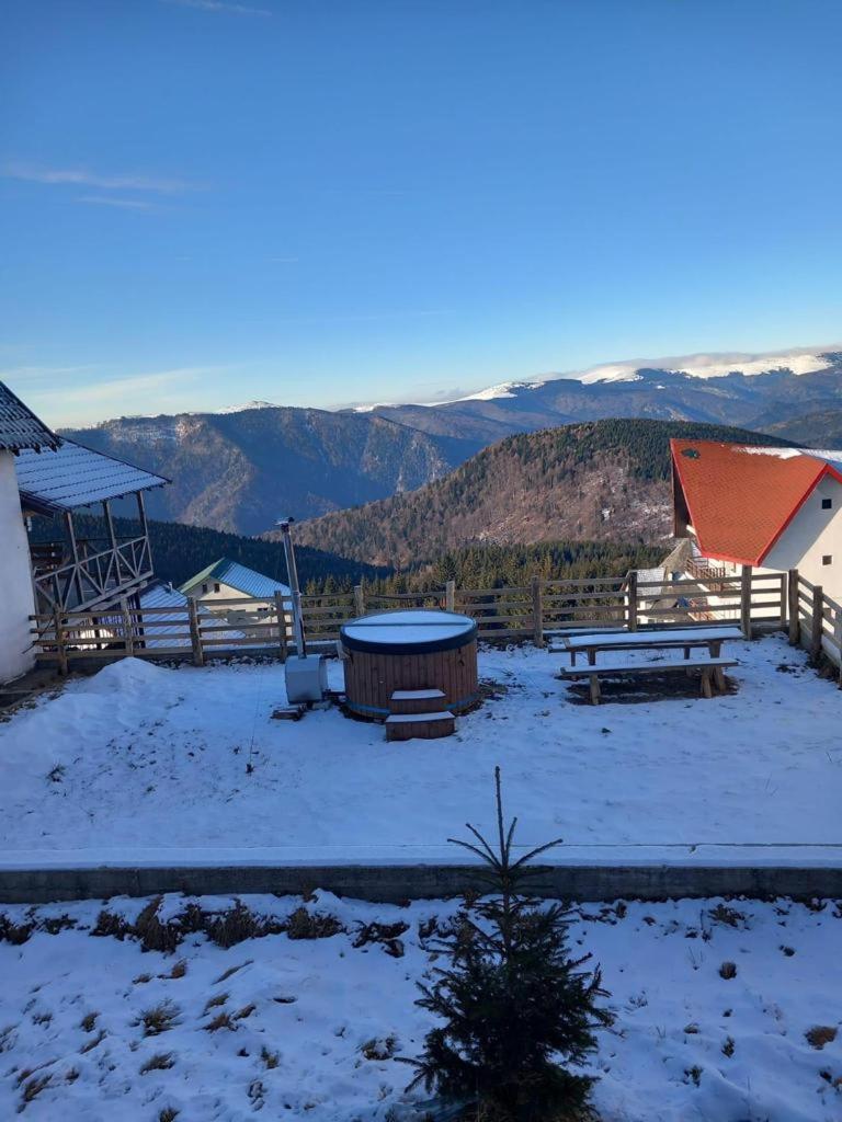 Lupul Dacic Hotel Ranca Bagian luar foto